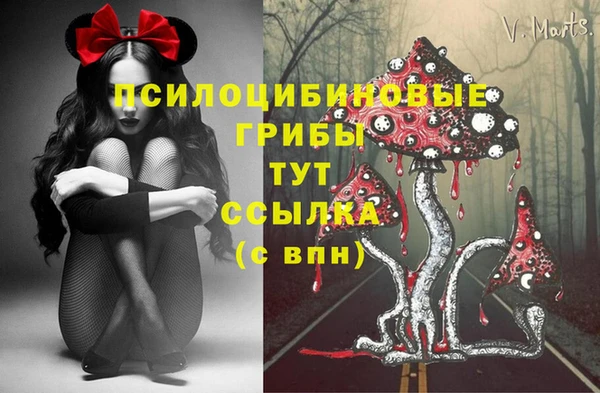 мяу мяу мука Алексин