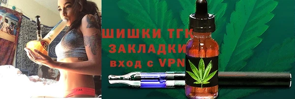 соль ск Алзамай
