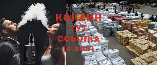 соль ск Алзамай