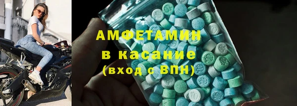 индика Медногорск