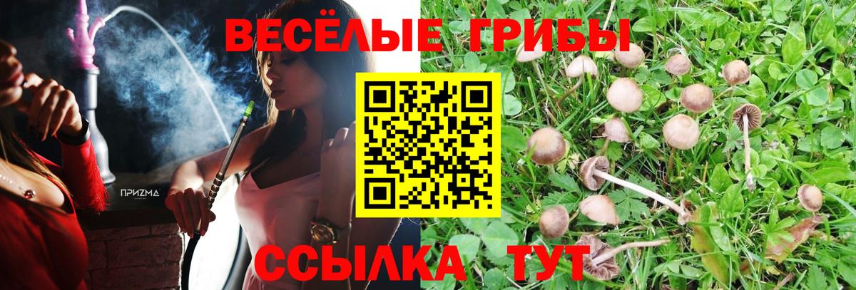 Галлюциногенные грибы Psilocybe  Вход с VPN  Сочи 